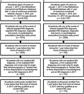 Epidemiology of myasthenia gravis in the United States